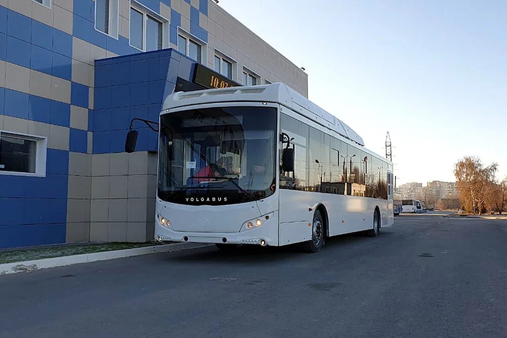 Автобусы воронеж изменения. Волгабас Воронеж. VOLGABUS Воронеж. ООО ТК Автолайн Воронеж. Автобус Волгабас в Воронеже.