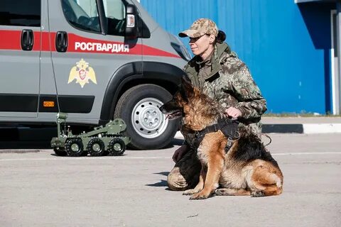 Кинологи росгвардии