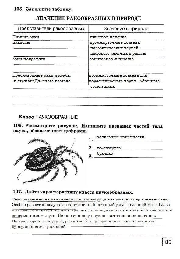 Контрольная работа 8 класс тип членистоногие ответы. Биология 7 класс ракообразные рабочая тетрадь. биология 7 класс сонин тетрадь. рабочая тетрадь по биологии 7 класс захаров сонин.