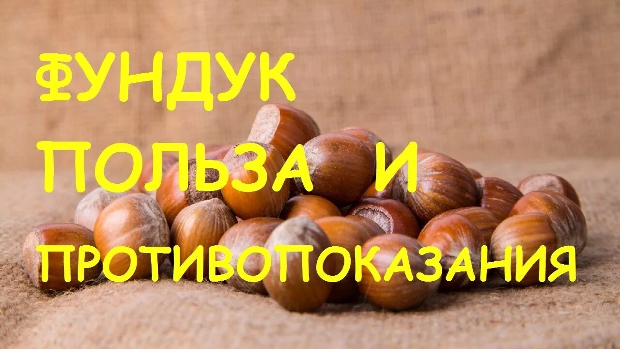 Орехи фундук вред. Орехи фундук вред. Орехи фундук полезные. Где хранить орехи. Фундук жареный.