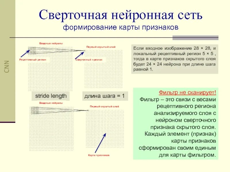 Модели сверточных нейронных сетей. Карта признаков сверточная нейронная сеть. Основные слои в сверточной нейронной сети. Сверточные нейронные сети структура. Сверточные нейронные сети фильтр.