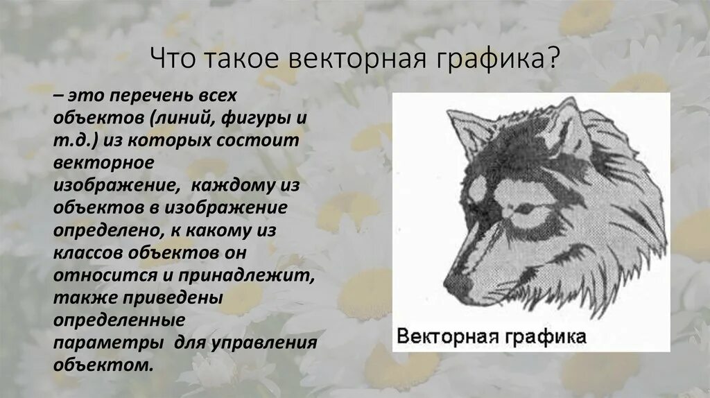 Из чего состоят векторные изображения. Векторные изображения Графика. Основы векторной графики. Пример векторной графики изображение. Векторные графические изображения состоят из.