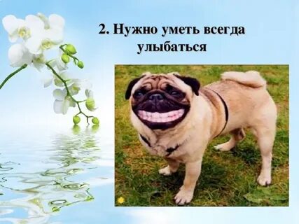 Всегда умею