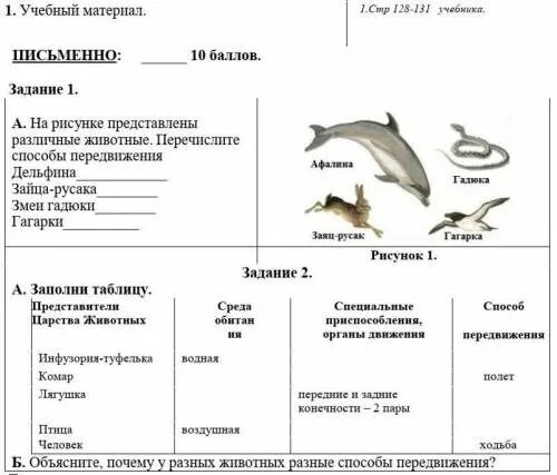 Тест класс птицы вариант 1. Тест рыбы 7 класс биология с ответами. Рыбы проверочная работа 7 класс. Тест по рыбам. Контрольная работа рыбы 7 класс биология.