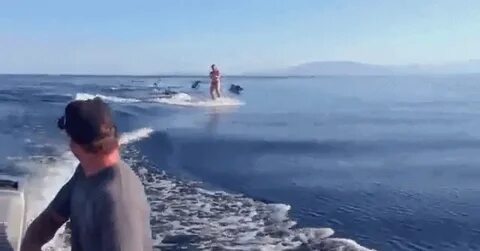 Удачные гифки