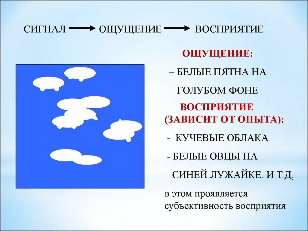 Общие признаки ощущения и восприятия. Чувства восприятия. Отличие восприятия от ощущений. Ощущение и восприятие разница. Отличие между ощущением и восприятием.