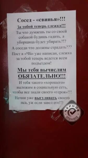 Соседи воняют. Гадят в подъезде объявления. Объявление о животных в подъезде. Объявление про кошек в подъезде. Коты гадят в подъезде.