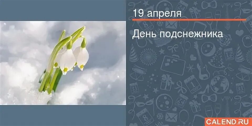 Пробирается медведь сквозь лесной валежник стали птицы. Стали птицы песни петь и расцвел Подснежник. И расцвёл Подснежник стихотворение 12 месяцев. Стали птицы песни петь и расцвел Подснежник Автор. Стали птицы песни петь и расцвел Подснежник стих.