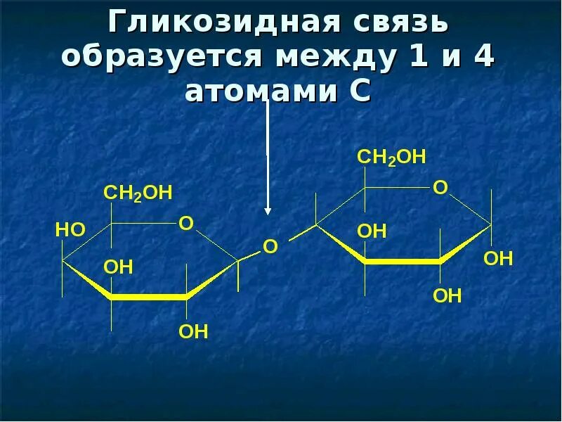 Связь 4 гликозидная