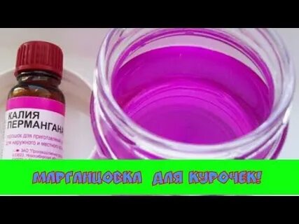 Луковицы марганцовка время