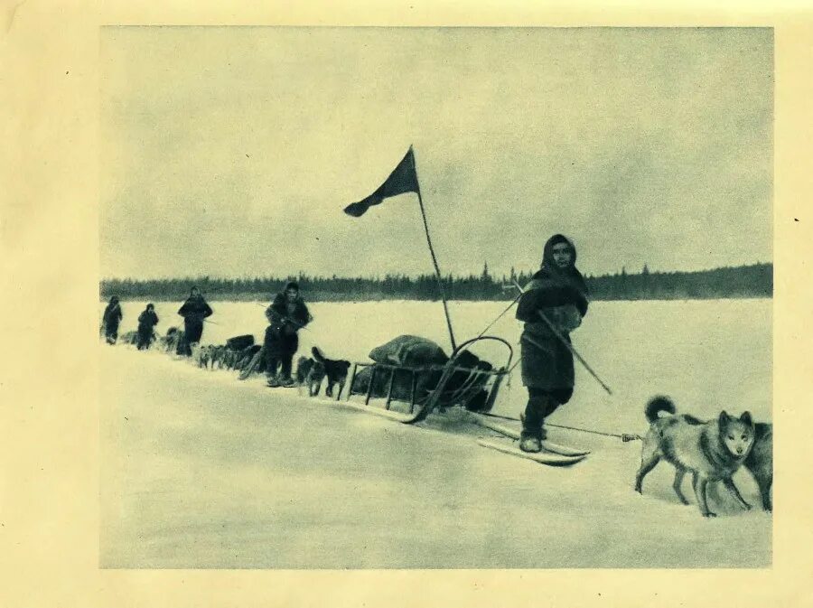 Привет с далекого севера