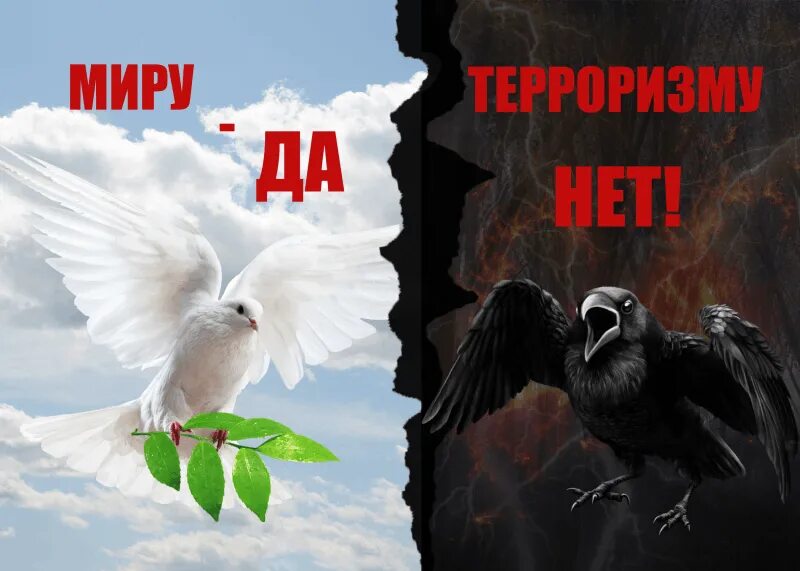 Мир против террора. Мир против терроризма. Мир без терроризма. Будущее без терроризма терроризм без будущего.