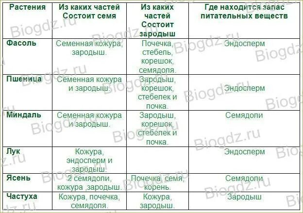 Строение семян однодольных и двудольных растений. Строение семян однодольных и двудольных растений. Отличительные признаки однодольных и двудольных растений таблица. Схема двойного оплодотворения у покрытосеменных растений. Схема сравнения однодольных и двудольных растений.