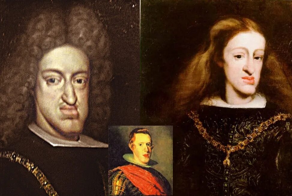 родословная габсбургов династия. династия габсбургов в испании древо. династия австрийских габсбургов в 18 веке. родословная габсбургов династия. австрийская монархия габсбургов 18 век 8 класс.