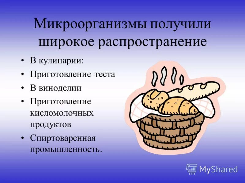 Мясо в питании человека 7 класс презентация