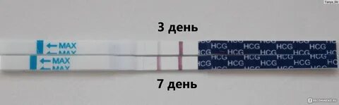 Ответ положительный это как