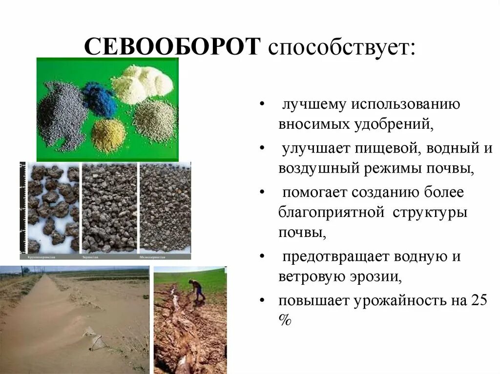 Севооборот в питомнике