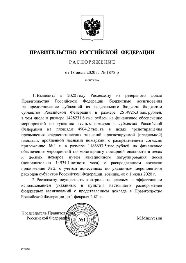 Приказ президента о повышении. Распоряжение Мишустина. Указ Мишустина. Выплата 2021 года от Мишустина приказ. Приказ Мишустина о национализации предприятий.