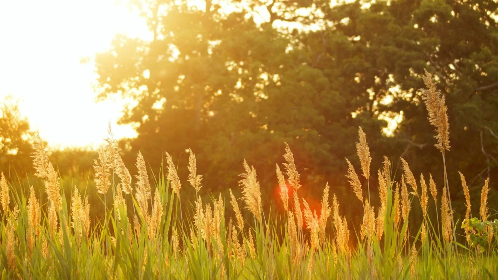Гармония человека и природы. Последнее лето сериал 2021 турция. Грядущее лето 2021. Круэл саммер сериал. Одно лето 2021 фильм.