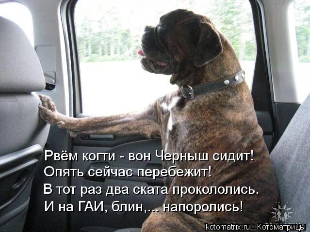 Притормози братан нажми на стоп и оглянись. Спустя много лет цитаты. Притормози мем. Шутки про пдд. Куда летишь брат.