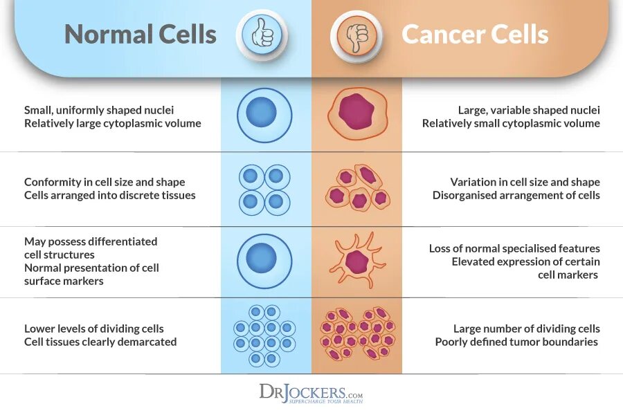 Cells 2 1 value