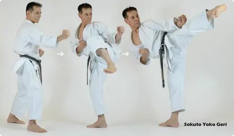 Еко гери