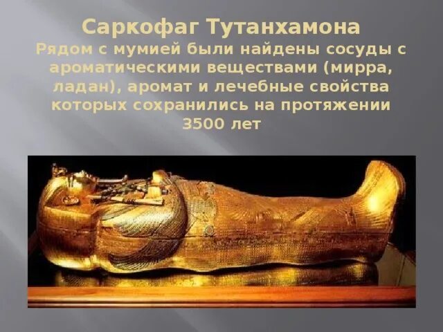 Где находится гробница фараона тутанхамона на карте. Исследование мумии Тутанхамона презентация. Рассказ про фараона Тутанхамона по истории.