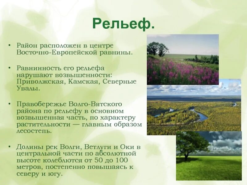 Природные районы рельеф климатические особенности. Волго-Вятский экономический район рельеф. Формы рельефа Волго Вятского района. Волго-Вятский район рельеф и климат. Волго-Вятский район Приволжская возвышенность.