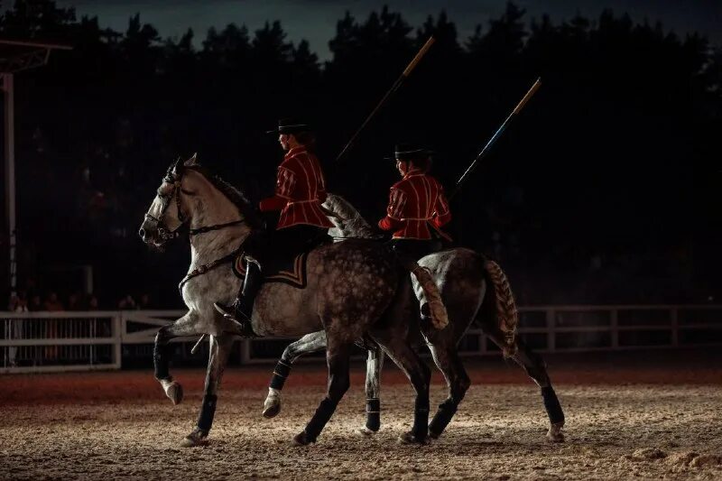 Эквирос аксакалы на красной площади. Новый «дон кихот» идальго из ла-манчи. Вигго мортенсен идальго. Идальго из ламанчи михайловский театр. Озон хитроумный идальго дон кихот ламанчский том 2.