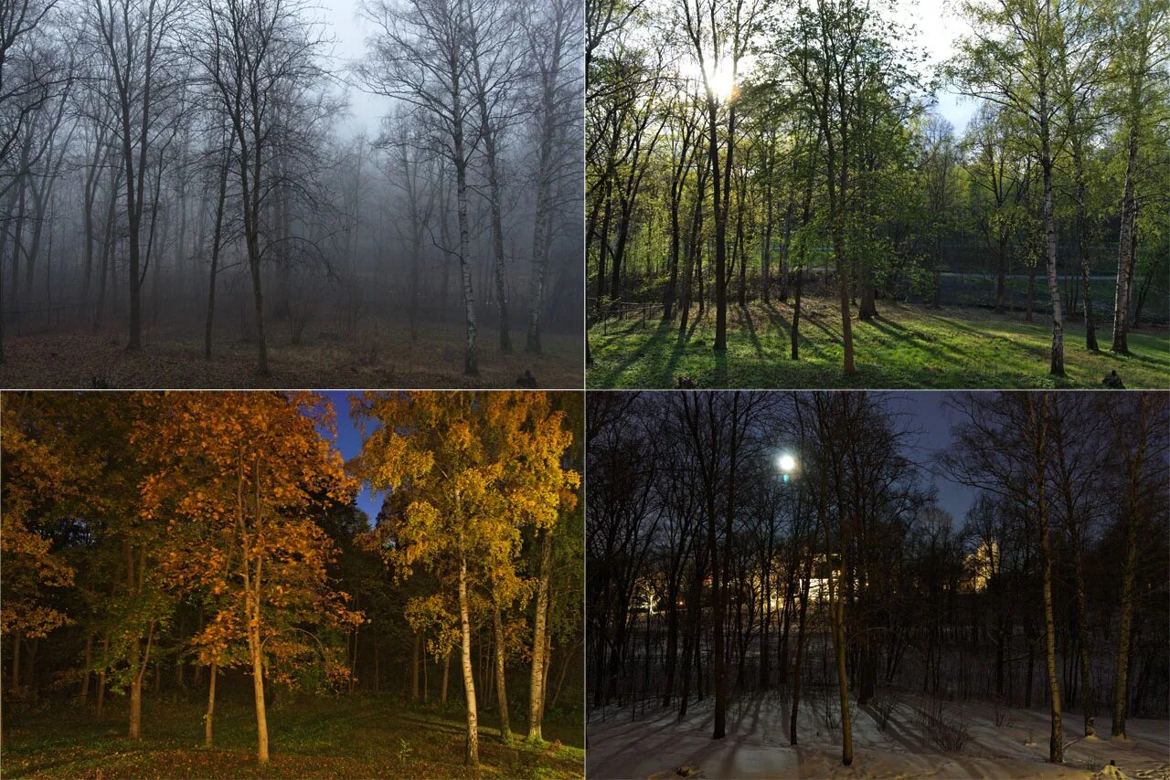 Собраны в разное время и. Пейзаж в разных состояниях. пейзаж в разное время года. пейзаж в разное время суток. природа в разных состояниях.