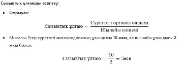 Үлкен мүшесі лесбиянкамен транс порно