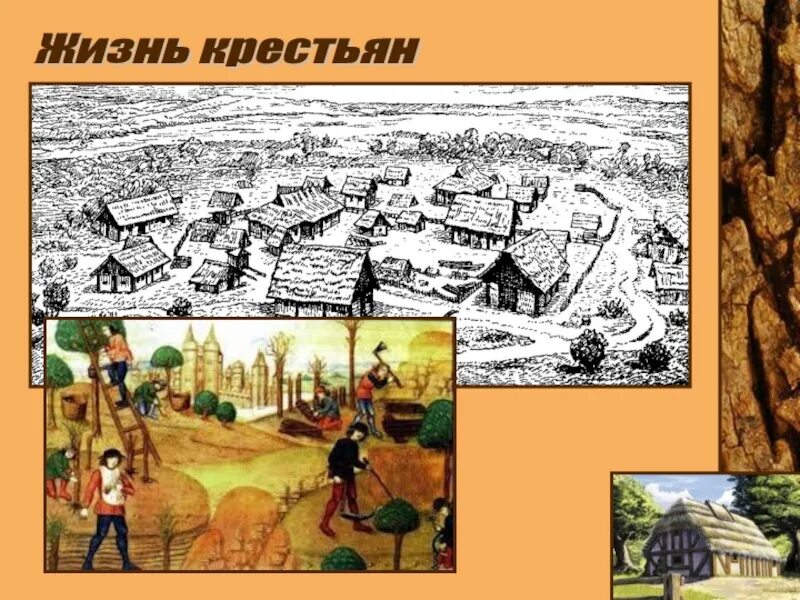 Жизнь земледельцев кратко 6 класс. Средневековая деревня и ее обитатели 6 класс. план средневековой деревни картинки. средневековая деревня и ее обитатели 6 рисунок по истории. средневековая деревня дом крестьянина.