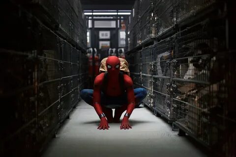 Фото: Человек-паук: Возвращение домой / Кадр из фильма "Человек-паук: В...