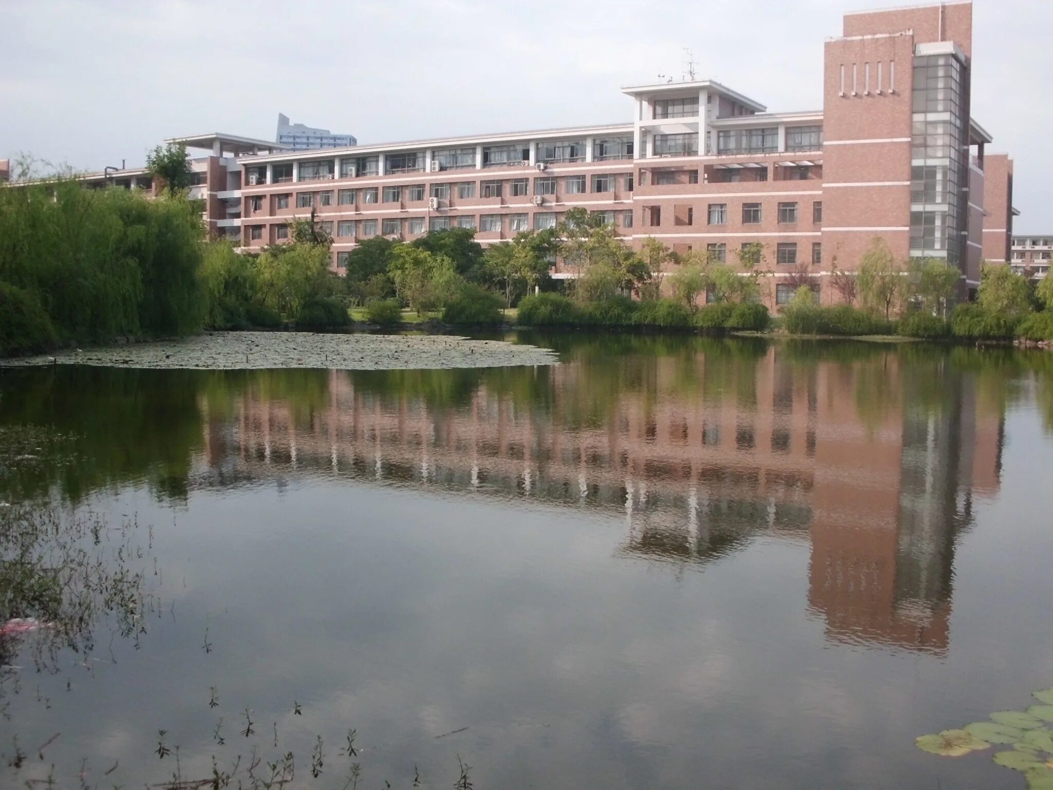 Zhejiang university of science and technology. Чжэцзянский университет иностранных языков. технологический университет чжэцзян. zhejiang sci-tech university общежитие. zhejiang university business college ной.