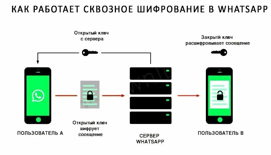 Сообщение защищены сквозным шифрованием что это