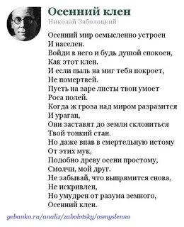 Заболоцкий утро