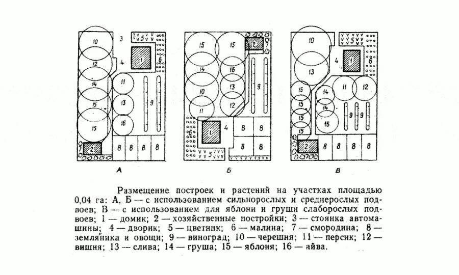 Как правильно посадить деревья на участке. Схема посадки плодовых деревьев и кустарников на участке. Схема посадки плодовых деревьев и кустарников на участке 6. Схема посадки плодовых деревьев на участке 4 сотки. Схема посадки плодового сада.