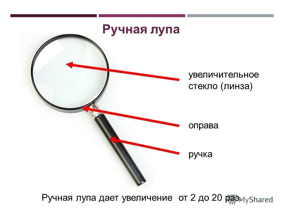 Какое увеличение дает ручная лупа. Лупа из чего состоит 5 класс. Луппа строение 5 класс биология. Части ручной лупы и их функции. Из чего состоит ручная лупа.