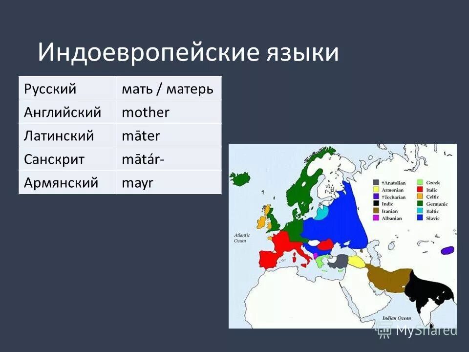 назовите языки родственные русскому языку. дерево родственных славянских языков.