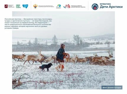 Подать заявление по программе дети арктики