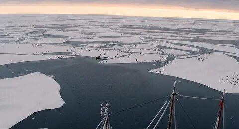 Сев вода