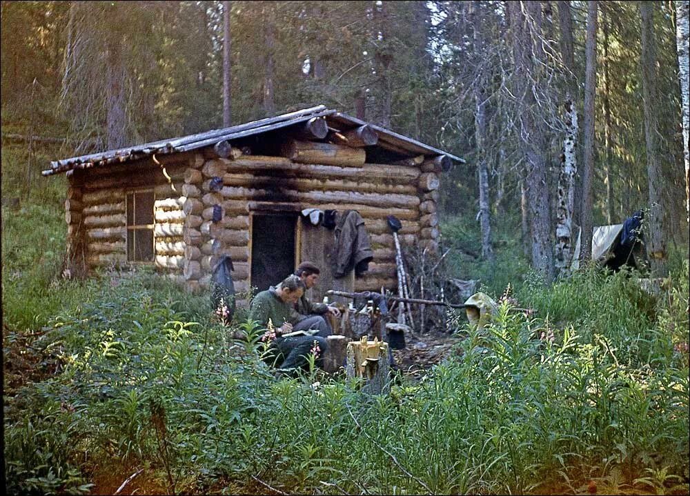 В глухих таежных