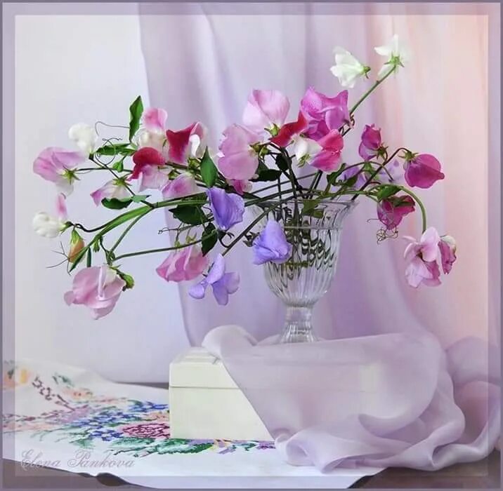 Фотонатюрморты Елены Панковой. Весенний натюрморт. Красивые натюрморты с цветами. Красивые цветы в вазе. Утро изящный
