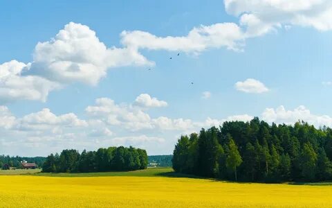 Необъятные необозримые просторы 5 класс