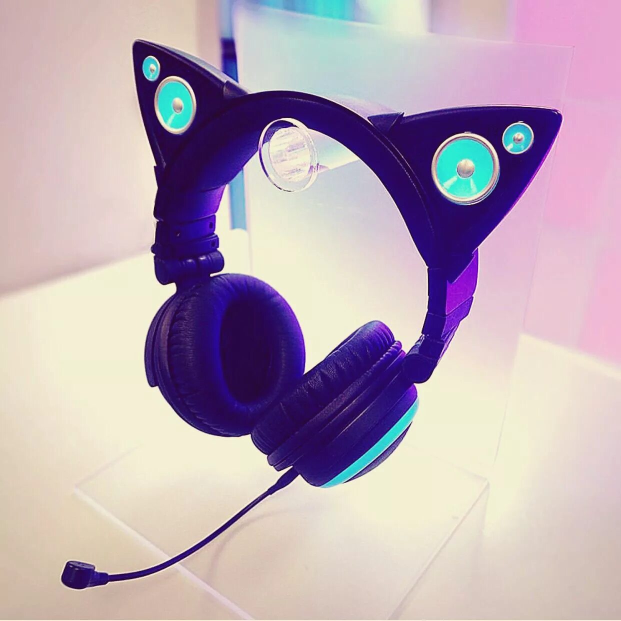 Наушники кошка купить. Наушники Cat Ear Headphones. Наушники Axent Wear Cat Ear. Наушники Cat Ear ev058 MF. Беспроводные наушники Cat Ear ZW-19.