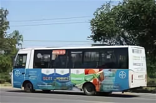 Волгоград грачи автобус