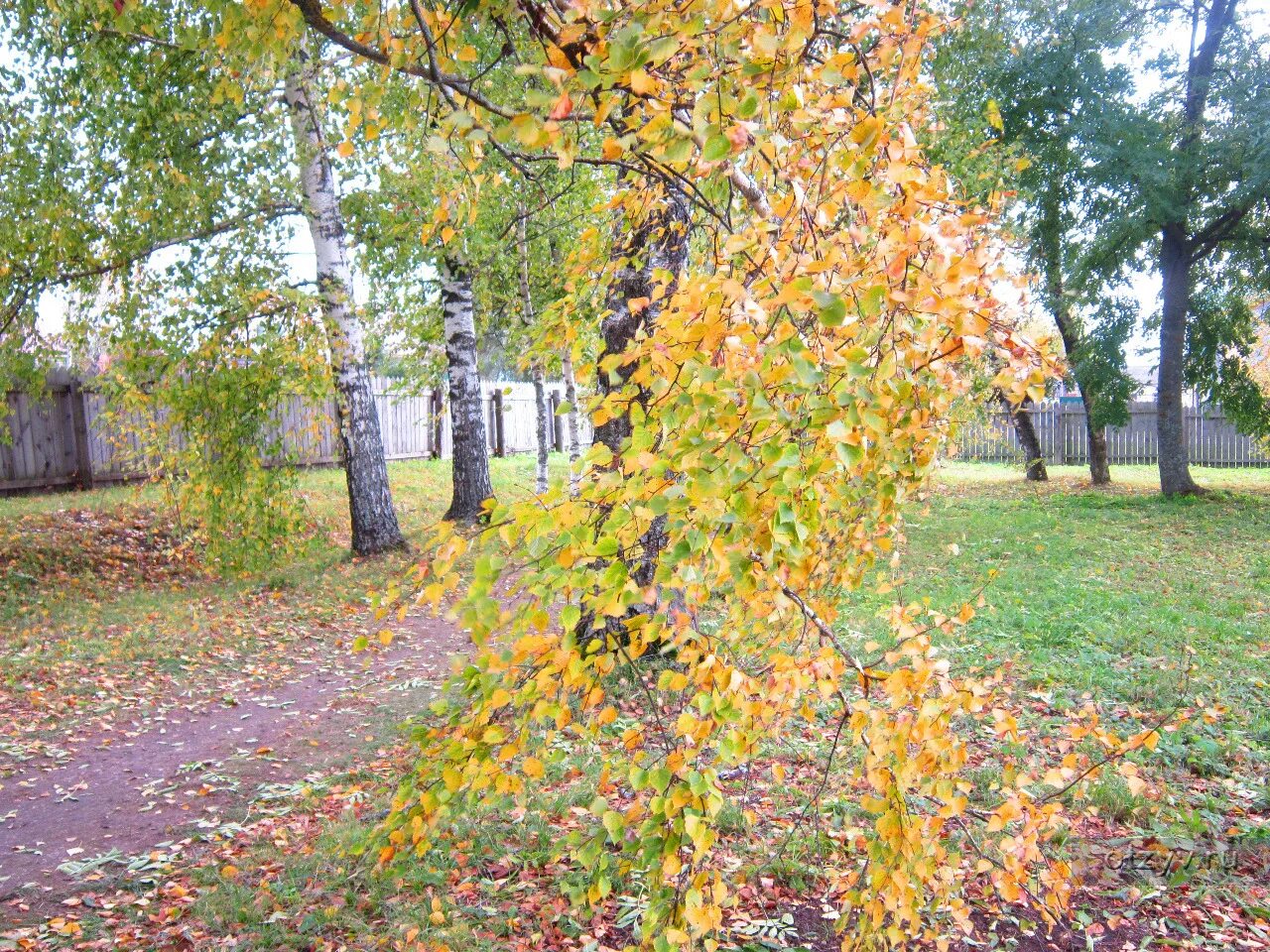 Подслушано в большом болдино нижегородской области