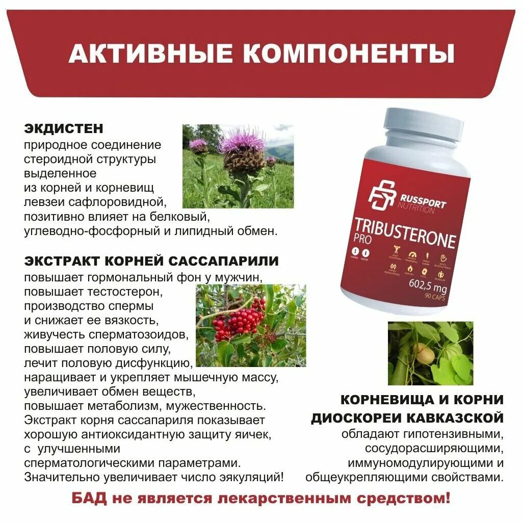 Трибустерон. Tribusteron 90. Tribusterone 50 капс. Трибустерон чай.