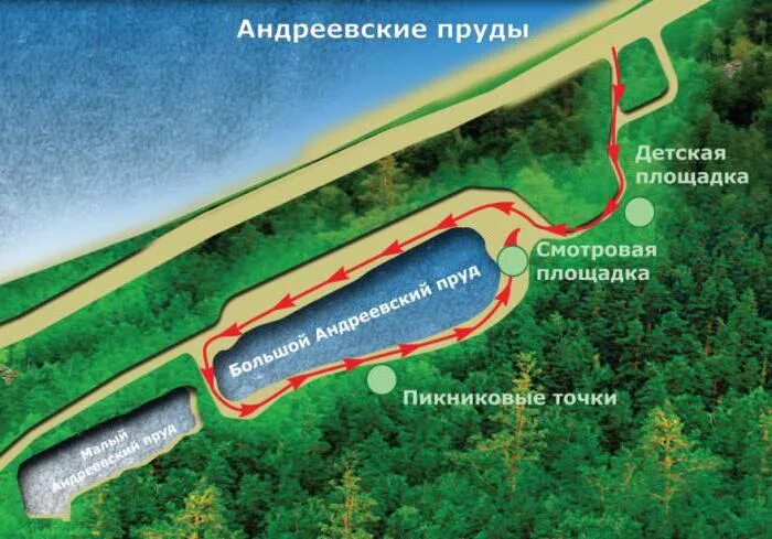 Как дойти до пруда