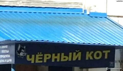 Черный кот адрес